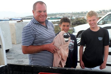 Vlnr is Pieter du Toit (met die toegedraaide Afrika pikkewyn), saam met sy seuns, Pieter (Jnr) en MJ wat flink reageer het om tot die pikkewyn se redding te kom